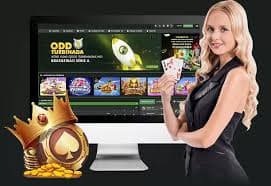 qqi88